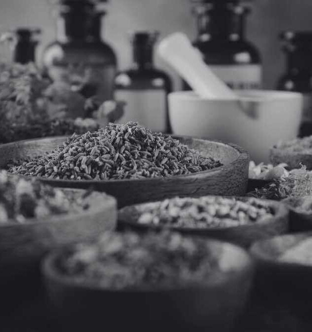 Natural Flea and Tick Prevention Home Remedies That Work