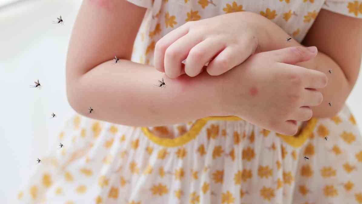 Pre Move Checklist for Moving into Your New Home - Mosquito Infestation - Innovative Pest Pte Ltd Pre Move Checklist for Moving into Your New Home - Mosquito Infestation