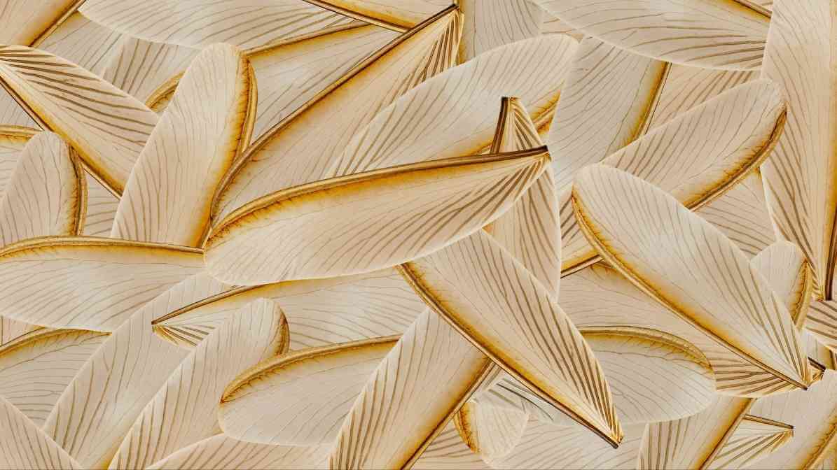 Termite Free Inspection for Residential and Commercial Property - Termite Wings