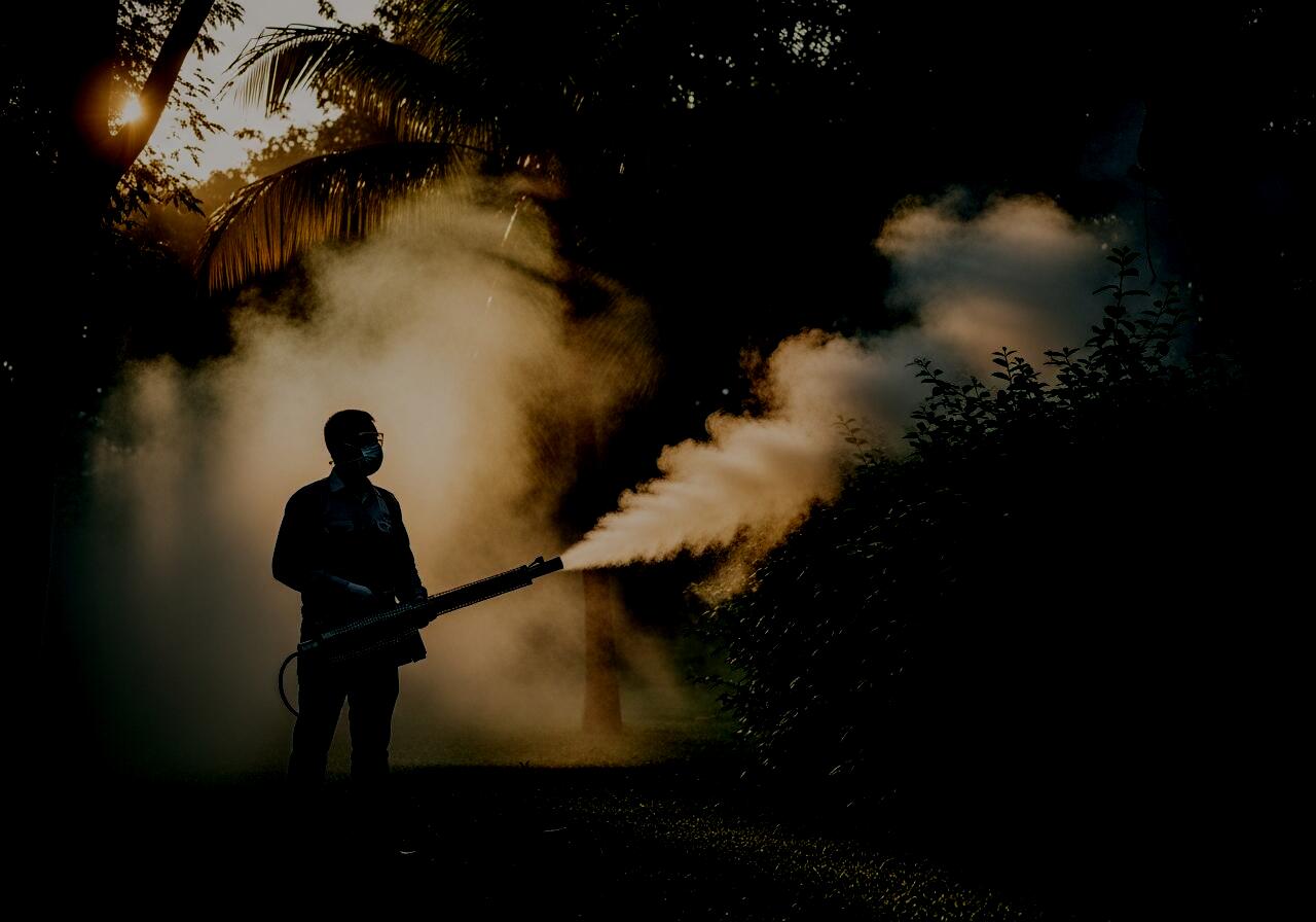 A pest-control technician thermal-fogging at dusk in Singapore, the conventional mosquito-control method that InnoMozzie replaces with auto-dissemination IPM